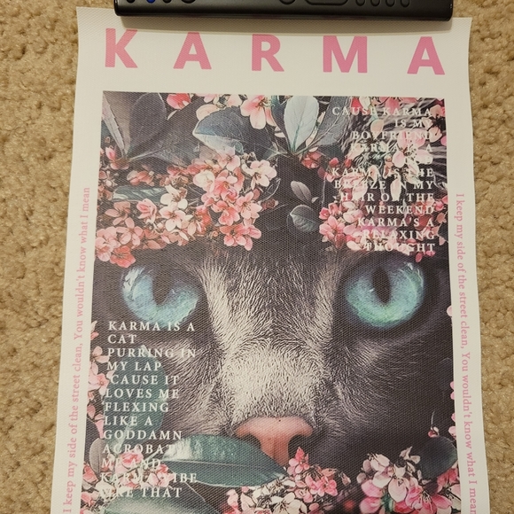 ๐5 for $25/Taylor Swift-Inspired Canvas Poster - Picture 1 of 2